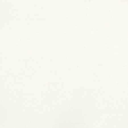 Bane Pearl by Carole Designer Fabric With Grace 100% Polyester Hybrid FR Mexico 30,000 WYZENBEEK DOUBLE RUBS None 54" - Swanky Fabrics -