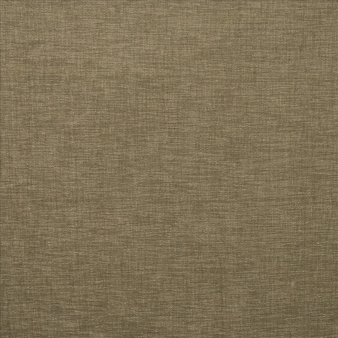 Cityview Barley  by Kasmir Designer Fabric 5186 100% Other Fiber  INDIA  </p><p>Repeat: Horizontal: N/A and Vertical:  0 inches 54  - Swanky Fabrics -