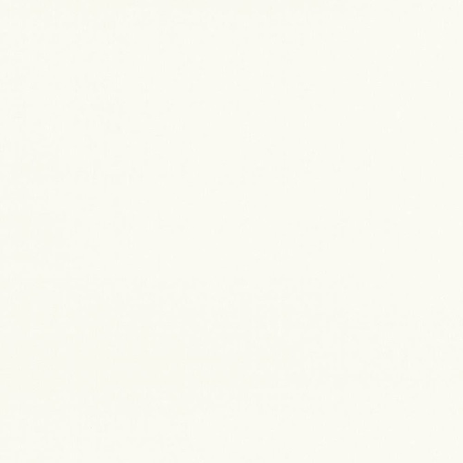 Seductive Eggshell  by Kasmir Designer Fabric 5052 100% Polyester  INDIA  </p><p>Repeat: Horizontal: N/A and Vertical: N/A 53  - Swanky Fabrics -