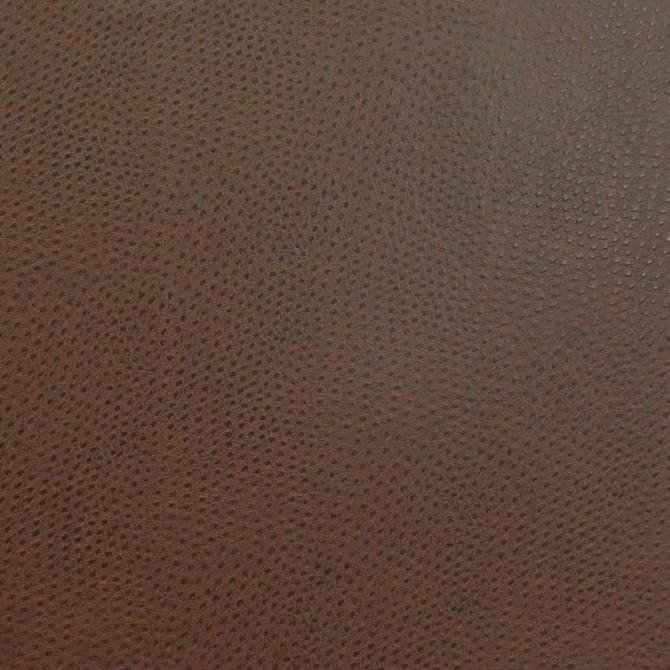Buckeye # 719 Fudge by Maxwell Designer Fabric Easy Rider Viii FACE: 100% POLYURETHANE (POLYCARBONATE)
BACKING: 100% POLYESTER KOREA 54" - Swanky Fabrics -