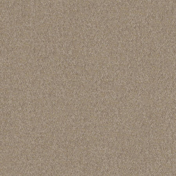 Calabria # 440 Funghi by Maxwell Designer Fabric Performance Velvets-Vol.Iv 51% ACRYLIC/44% POLYESTER/5% VISCOSE TURKEY 55.9" - Swanky Fabrics -