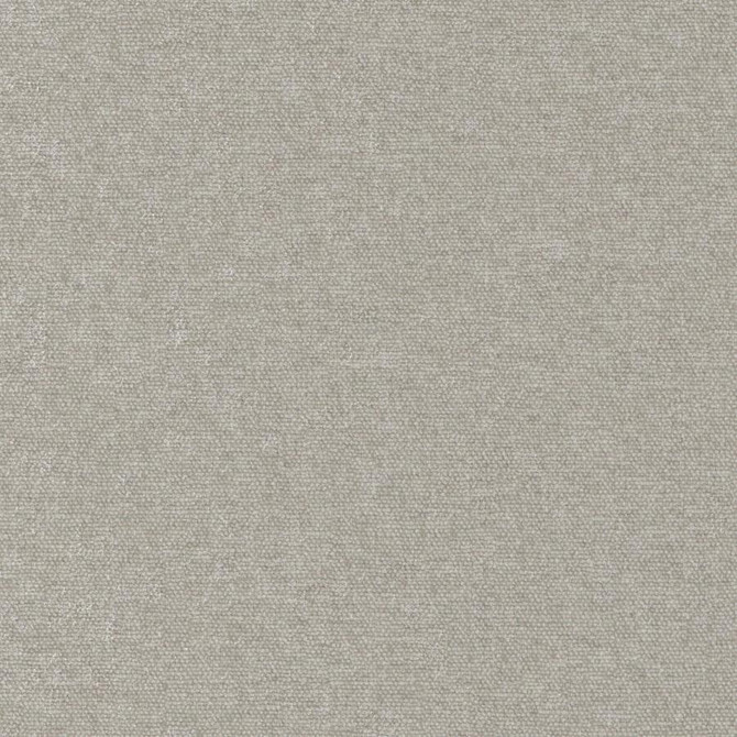 Conte # 923 Aluminium by Maxwell Designer Fabric Curled Up Viii 100% POLYESTER INDIA 54" - Swanky Fabrics -