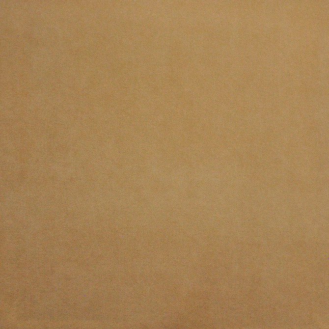 Palermo 422 Cookie by Maxwell Designer Fabric HOME & GARDEN-ACT VII 76% RECYLCED POLYESTER/24% POLYESTER (PILE: 100% SOLUTION-DYED RECYCLED POLYESTER) TURKEY   55"  - Swanky Fabrics -