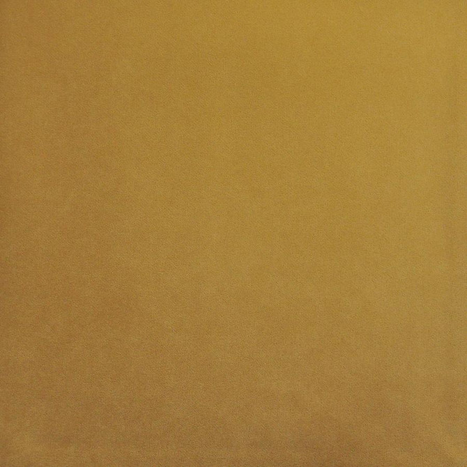 Palermo # 423 Butter by Maxwell Designer Fabric Home & Garden-Act Vii 76% RECYLCED POLYESTER/24% POLYESTER (PILE: 100% SOLUTION-DYED RECYCLED POLYESTER) TURKEY 55" - Swanky Fabrics -