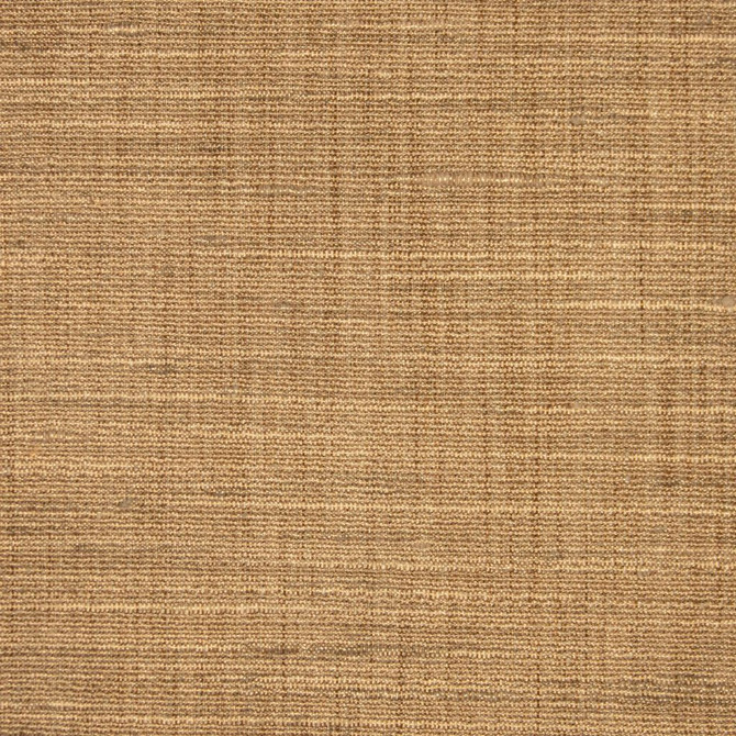 Ocean Breeze Sand Dollar by RM CoCo Designer Fabric Summer Breeze 100% Polyester See Sample 0 Horizontal: 00 54  - Swanky Fabrics -