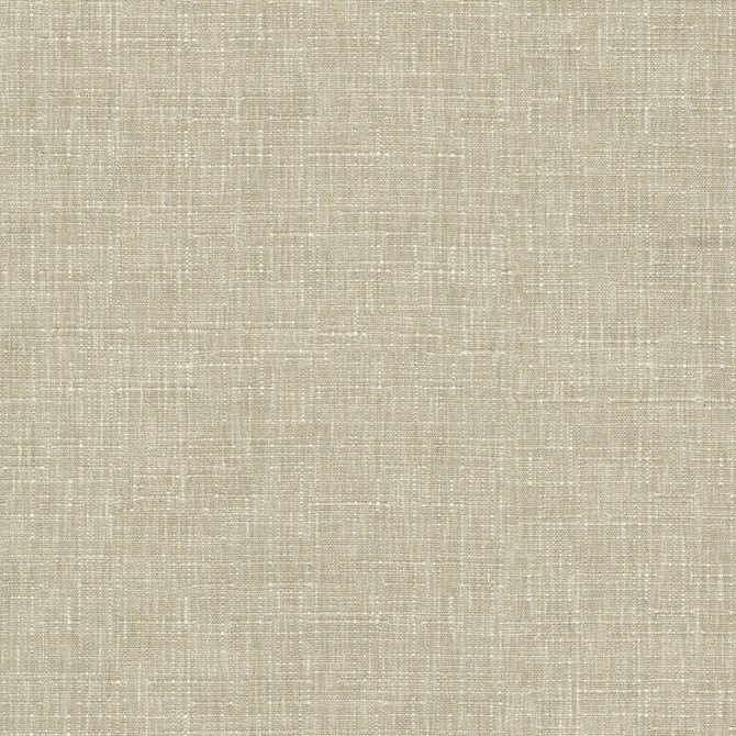 Avalon Taupe 412858 by PKL Studio Designer Fabric 74% cotton, 26% polyester India 51000 Horizontal: 0 and Vertical: 0 54 - Swanky Fabrics -