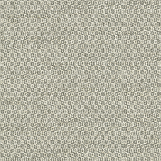 Parque Sterling 412358 by PKL Studio Designer Fabric 82% polyester, 18% cotton India 51000 Horizontal: 0.5 and Vertical: 0.63 54 - Swanky Fabrics -