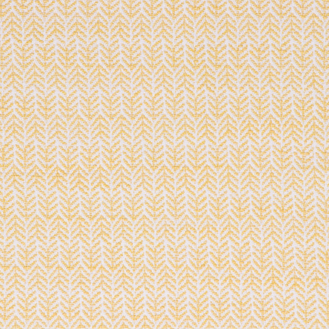 Festoon Lemon by Bella-Dura Designer Fabric  100% HIGH UV POLYESTER USA 80,000 H: .75" V: 2" 56.25"  - Swanky Fabrics -