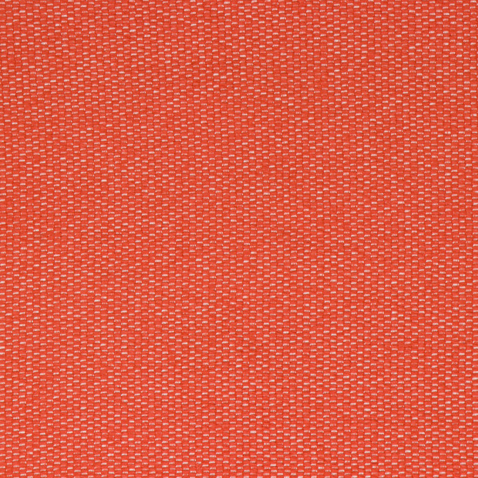 Neptune Persimmon by Bella-Dura Designer Fabric  100% BELLA DURA POLYOLEFIN USA 70000 H: .375'' V: .125'' 53''  - Swanky Fabrics -