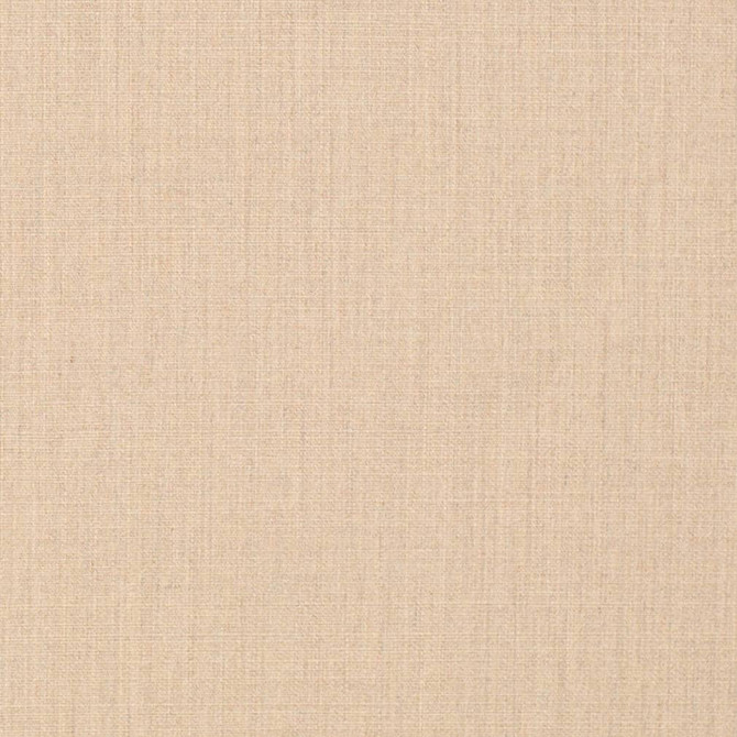 D3428 by Charlotte Designer Fabric Cabana 100% Solution Dyed Acrylic Asia Exceeds 120,000 Wyzenbeek Rubs (Heavy Duty) No Repeat 54 Inches - Swanky Fabrics -