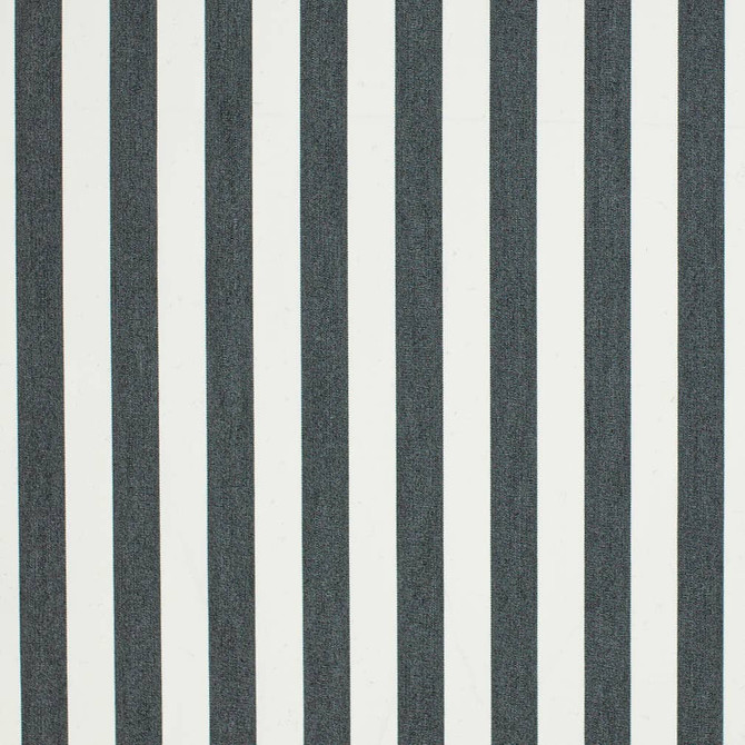 D3464 by Charlotte Designer Fabric Cabana 100% Solution Dyed Acrylic Asia Exceeds 120,000 Wyzenbeek Rubs (Heavy Duty) Horizontal 2" 54 Inches - Swanky Fabrics -