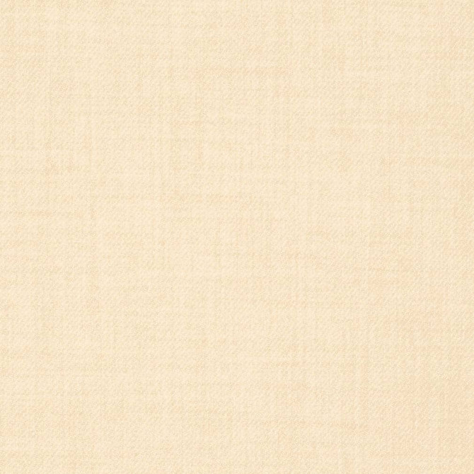 D3670 by Charlotte Designer Fabric Mid Century Modern 100% Polyester Asia Exceeds 100,000 Wyzenbeek Rubs (Heavy Duty) No Repeat 54 Inches - Swanky Fabrics -