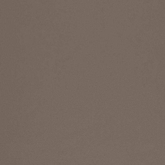 V814 by Charlotte Designer Fabric Breathables V 100% Polyurethane, 26oz. Asia Exceeds 2,000,000 Wyzenbeek Rubs (Heavy Duty) No Repeat 54 Inches - Swanky Fabrics -