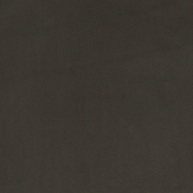 V822 by Charlotte Designer Fabric Breathables V 100% Polyurethane, 26oz. Asia Exceeds 2,000,000 Wyzenbeek Rubs (Heavy Duty) No Repeat 54 Inches - Swanky Fabrics -