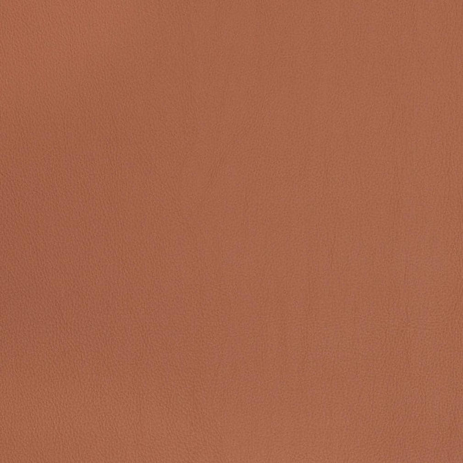 V823 by Charlotte Designer Fabric Breathables V 100% Polyurethane, 26oz. Asia Exceeds 2,000,000 Wyzenbeek Rubs (Heavy Duty) No Repeat 54 Inches - Swanky Fabrics -