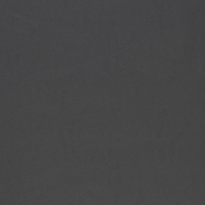 V825 by Charlotte Designer Fabric Breathables V 100% Polyurethane, 26oz. Asia Exceeds 2,000,000 Wyzenbeek Rubs (Heavy Duty) No Repeat 54 Inches - Swanky Fabrics -