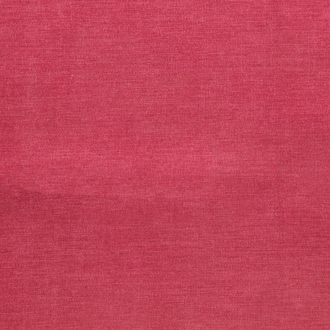 D3826 by Charlotte Designer Fabric Classic Velvet II 90% Polyester, 10% Nylon Asia Exceeds 240,000 Wyzenbeek Rubs (Heavy Duty) No Repeat 54 Inches - Swanky Fabrics -