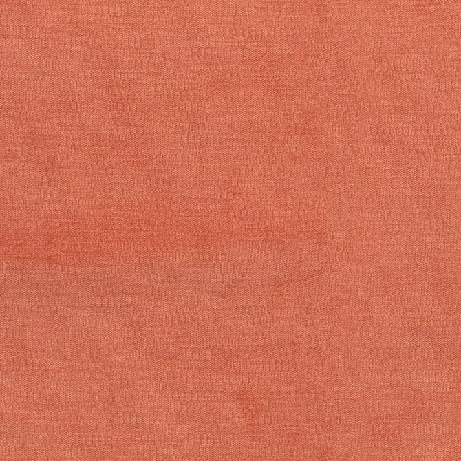 D3831 by Charlotte Designer Fabric Classic Velvet II 90% Polyester, 10% Nylon Asia Exceeds 240,000 Wyzenbeek Rubs (Heavy Duty) No Repeat 54 Inches - Swanky Fabrics -