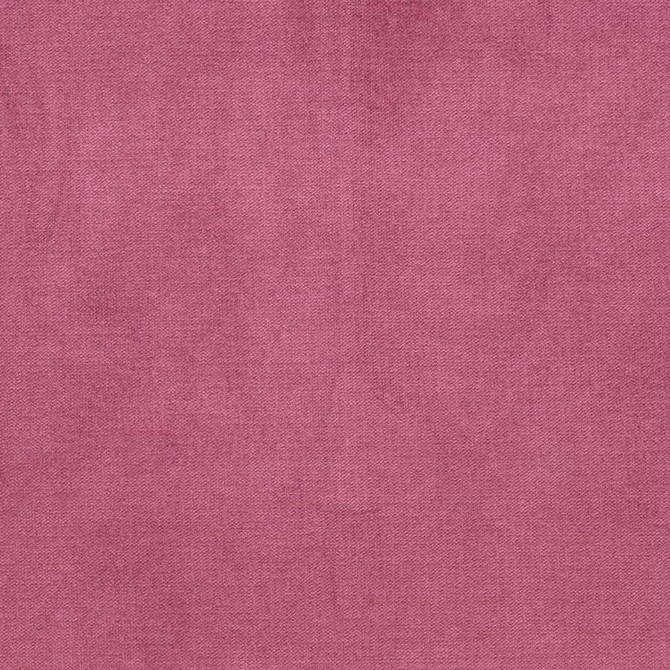 D3849 by Charlotte Designer Fabric Classic Velvet II 90% Polyester, 10% Nylon Asia Exceeds 240,000 Wyzenbeek Rubs (Heavy Duty) No Repeat 54 Inches - Swanky Fabrics -