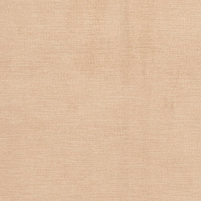 D3851 by Charlotte Designer Fabric Classic Velvet II 90% Polyester, 10% Nylon Asia Exceeds 240,000 Wyzenbeek Rubs (Heavy Duty) No Repeat 54 Inches - Swanky Fabrics -