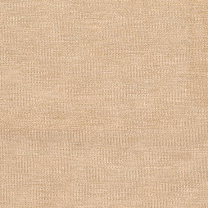 D3853 by Charlotte Designer Fabric Classic Velvet II 90% Polyester, 10% Nylon Asia Exceeds 240,000 Wyzenbeek Rubs (Heavy Duty) No Repeat 54 Inches - Swanky Fabrics -