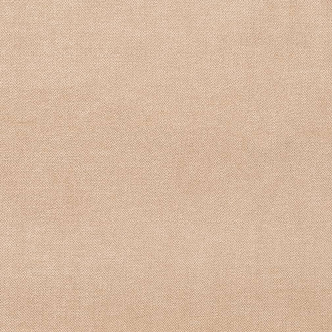 D3860 by Charlotte Designer Fabric Classic Velvet II 90% Polyester, 10% Nylon Asia Exceeds 240,000 Wyzenbeek Rubs (Heavy Duty) No Repeat 54 Inches - Swanky Fabrics -