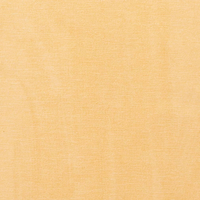 D3861 by Charlotte Designer Fabric Classic Velvet II 90% Polyester, 10% Nylon Asia Exceeds 240,000 Wyzenbeek Rubs (Heavy Duty) No Repeat 54 Inches - Swanky Fabrics -