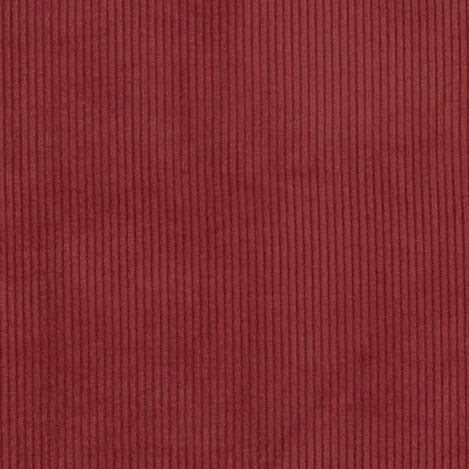 D3867 by Charlotte Designer Fabric Ridges 92% Polyester, 8% Acrylic Asia Exceeds 100,000 Wyzenbeek Rubs (Heavy Duty) No Repeat 54 Inches - Swanky Fabrics -