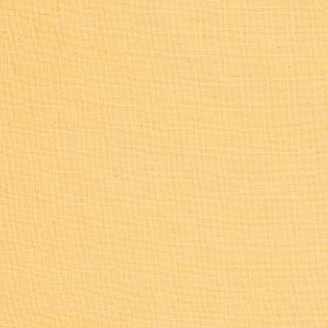 D3941 by Charlotte Designer Fabric Casual Linen 45% Viscose, 35% Polyester, 20% Linen, 16 oz. Asia Exceeds 50,000 Wyzenbeek Rubs (Heavy Duty) No Repeat 54 Inches - Swanky Fabrics -