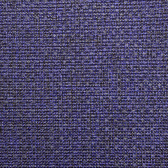 Allegro - Ink by Europatex Designer Fabric Allegro 100% Polyester China See Sample Horizontal: N/A and Vertical: N/A 54.00 inches  - Swanky Fabrics -