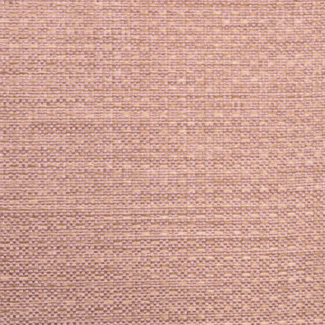 Allegro - Lavender by Europatex Designer Fabric Allegro 100% Polyester China See Sample Horizontal: N/A and Vertical: N/A 54.00 inches  - Swanky Fabrics -