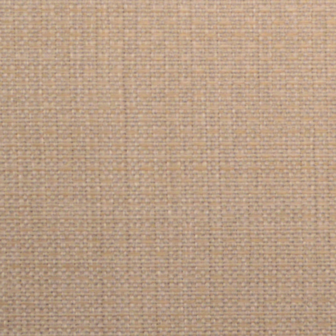 Allegro - Quartz by Europatex Designer Fabric Allegro 100% Polyester China See Sample Horizontal: N/A and Vertical: N/A 54.00 inches  - Swanky Fabrics -