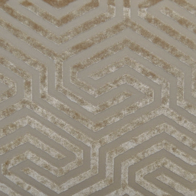 Baroque - B - Cream by Europatex Designer Fabric Baroque 100% Polyester China See Sample Horizontal: N/A and Vertical: N/A 114.00 inches  - Swanky Fabrics -