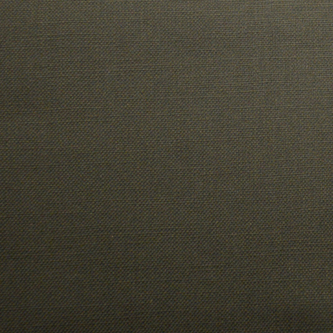 Barry Chia by Europatex Designer Fabric Barry 100% Cotton 0.00" 55.00 inches - Swanky Fabrics -