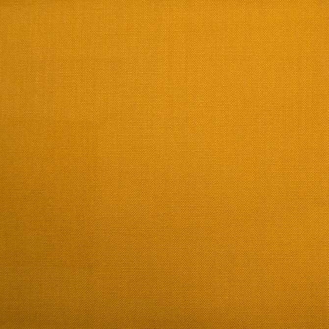 Barry Mustard by Europatex Designer Fabric Barry 100% Cotton 0.00" 55.00 inches - Swanky Fabrics -
