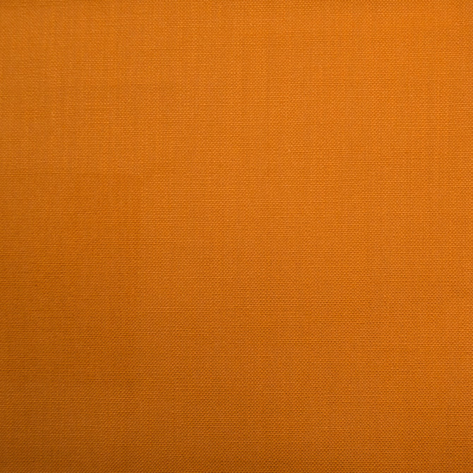 Barry Turmeric by Europatex Designer Fabric Barry 100% Cotton 0.00" 55.00 inches - Swanky Fabrics -