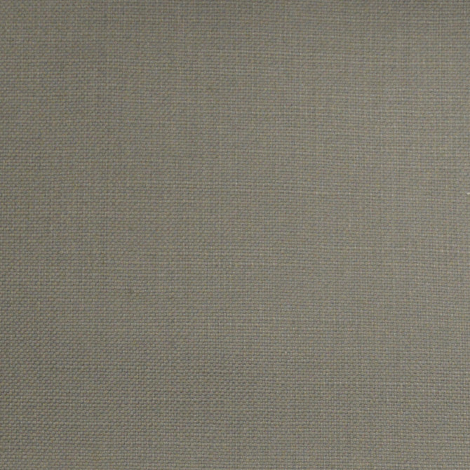 Barry Wolf by Europatex Designer Fabric Barry 100% Cotton 0.00" 55.00 inches - Swanky Fabrics -