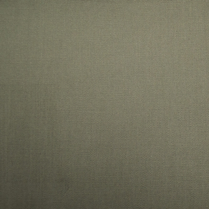 Barry - Woodsmoke by Europatex Designer Fabric Barry 100% Cotton China See Sample Horizontal: N/A and Vertical: N/A   - Swanky Fabrics -