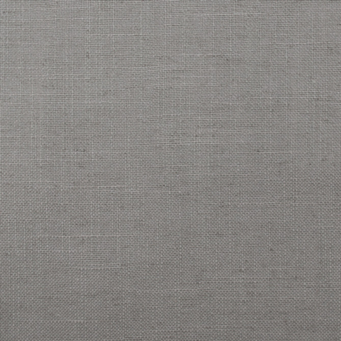 Lino - Lemur by Europatex Designer Fabric Lino 45% Viscose, 35% Polyester, 20% Linen China See Sample Horizontal: N/A and Vertical: N/A 57.00 inches  - Swanky Fabrics -