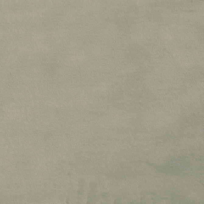 Plush 04 by Europatex Designer Fabric Plush 100% Polyester 0.00" 55.00 inches - Swanky Fabrics -