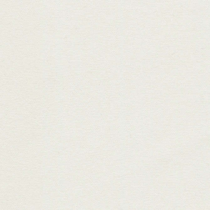 Samson Coconut by Europatex Designer Fabric Samson 100% Polyester 0.00" 55.00 inches - Swanky Fabrics -