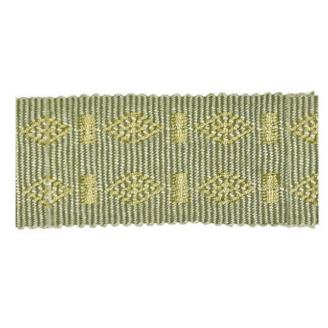 Le Puy Willow by Europatex Designer Fabric Elegant Dream 100% Rayon 1.75 inches - Swanky Fabrics -