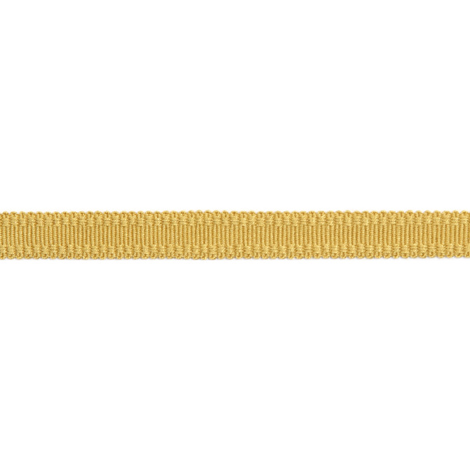 Versailles 9/16" Raised Edge Gimp Dijon by Europatex Designer Fabric Versailles 100% Rayon 0.56 inches - Swanky Fabrics -