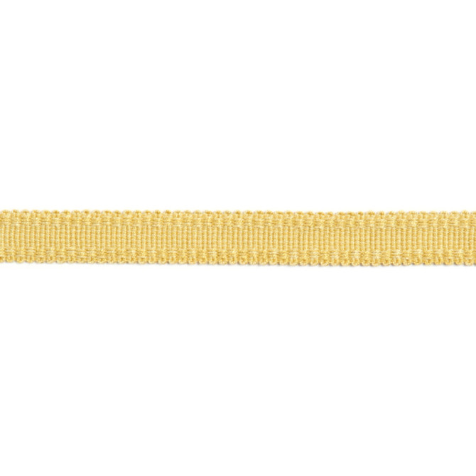 Versailles 9/16" Raised Edge Gimp - Honey by Europatex Designer Fabric Versailles 100% Rayon China See Sample Horizontal: N/A and Vertical: N/A 0.56 inches  - Swanky Fabrics -