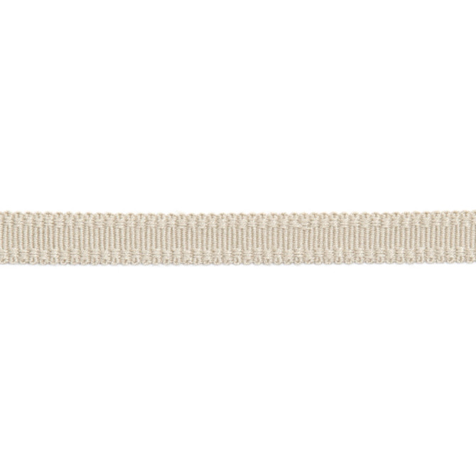 Versailles 9/16" Raised Edge Gimp - Latte by Europatex Designer Fabric Versailles 100% Rayon China See Sample Horizontal: N/A and Vertical: N/A 0.56 inches  - Swanky Fabrics -