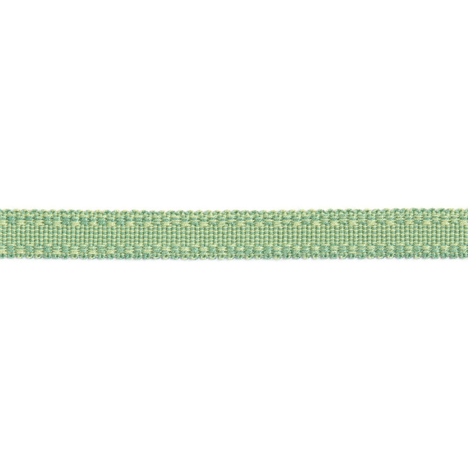 Versailles 9/16" Raised Edge Gimp Pear by Europatex Designer Fabric Versailles 100% Rayon 0.56 inches - Swanky Fabrics -