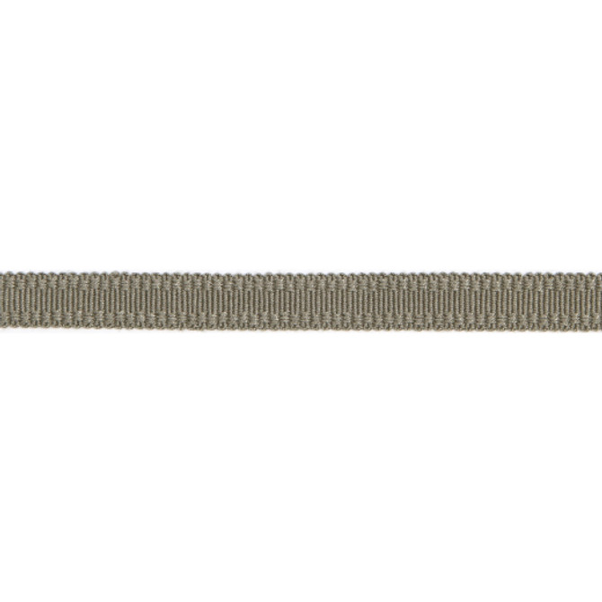 Versailles 9/16" Raised Edge Gimp - Pewter by Europatex Designer Fabric Versailles 100% Rayon China See Sample Horizontal: N/A and Vertical: N/A 0.56 inches  - Swanky Fabrics -