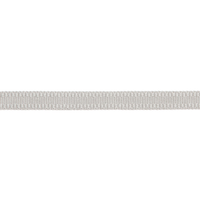 Versailles 9/16" Raised Edge Gimp Platinum by Europatex Designer Fabric Versailles 100% Rayon 0.56 inches - Swanky Fabrics -