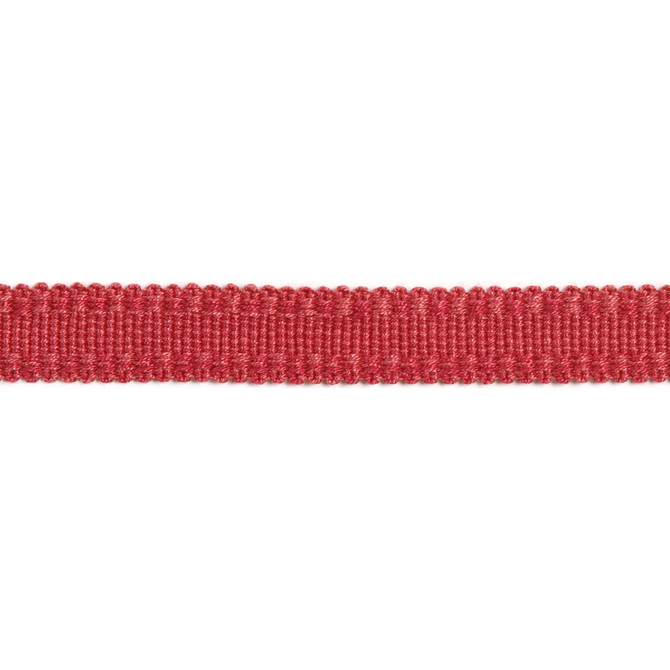 Versailles 9/16" Raised Edge Gimp Rouge by Europatex Designer Fabric Versailles 100% Rayon 0.56 inches - Swanky Fabrics -