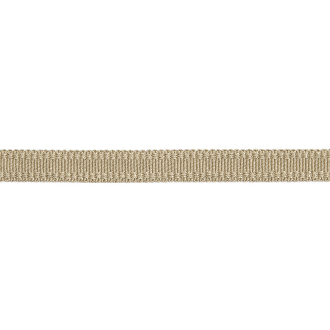 Versailles 9/16" Raised Edge Gimp Sand by Europatex Designer Fabric Versailles 100% Rayon 0.56 inches - Swanky Fabrics -